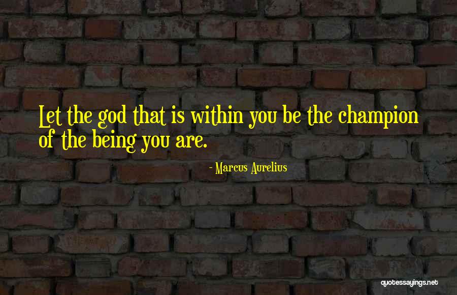 Augusto Sandino Quotes By Marcus Aurelius