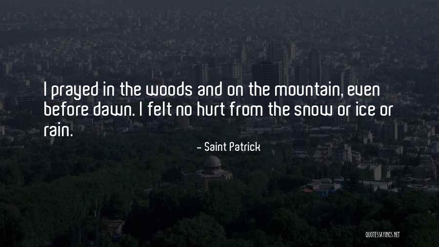 Aukstikalnis Maynard Quotes By Saint Patrick Aukstikalnis Maynard Quotes By Saint Patrick