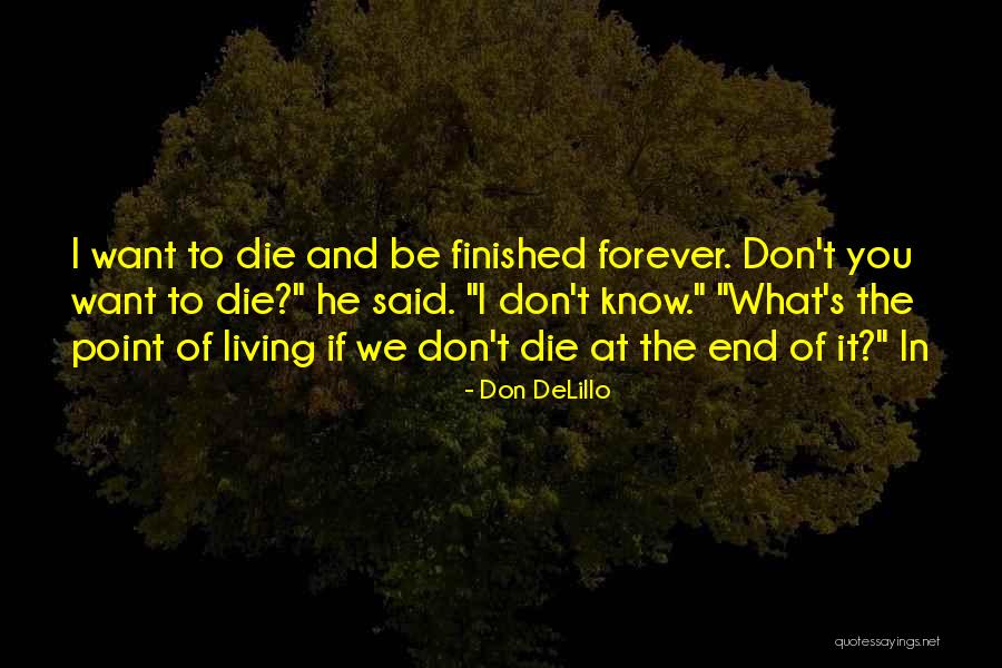 Aulia Kusuma Quotes By Don DeLillo Aulia Kusuma Quotes By Don DeLillo