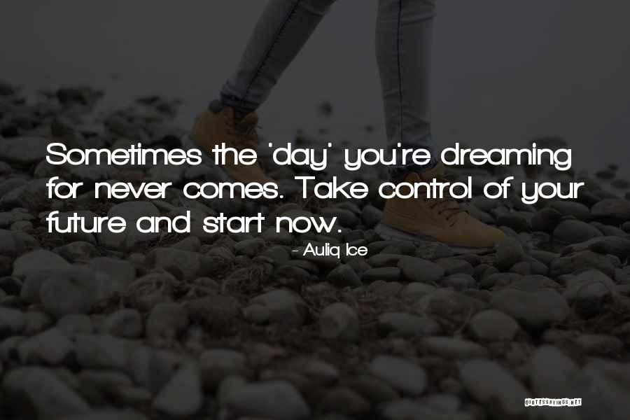Auliq Ice Quotes 158431 Auliq Ice Quotes 158431
