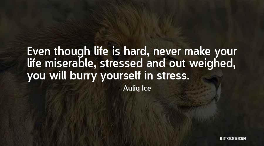 Auliq Ice Quotes 1949783 Auliq Ice Quotes 1949783