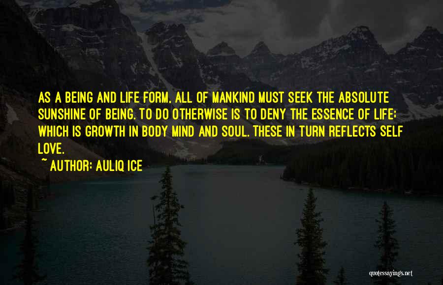 Auliq Ice Quotes 1953324