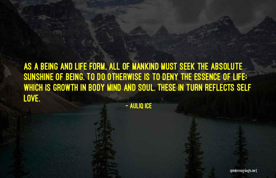 Auliq Ice Quotes 1953324 Auliq Ice Quotes 1953324