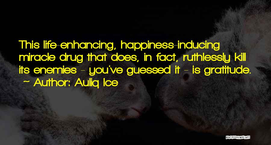 Auliq Ice Quotes 243818 Auliq Ice Quotes 243818