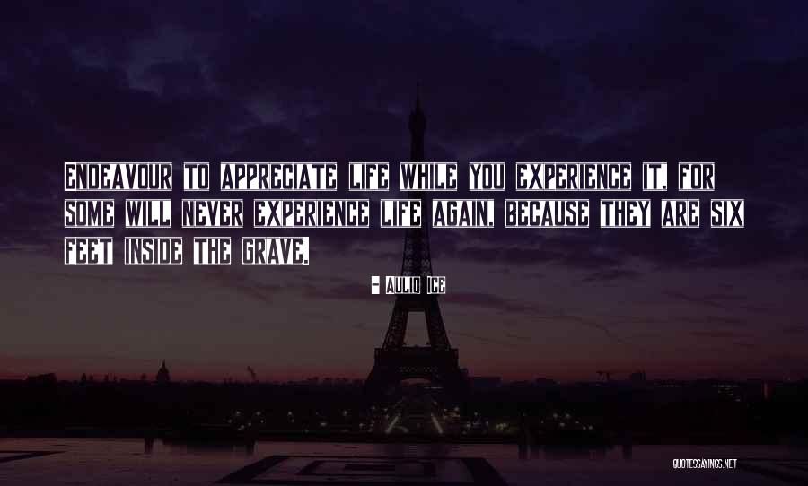 Auliq Ice Quotes 296173 Auliq Ice Quotes 296173
