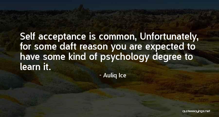 Auliq Ice Quotes 373179 Auliq Ice Quotes 373179