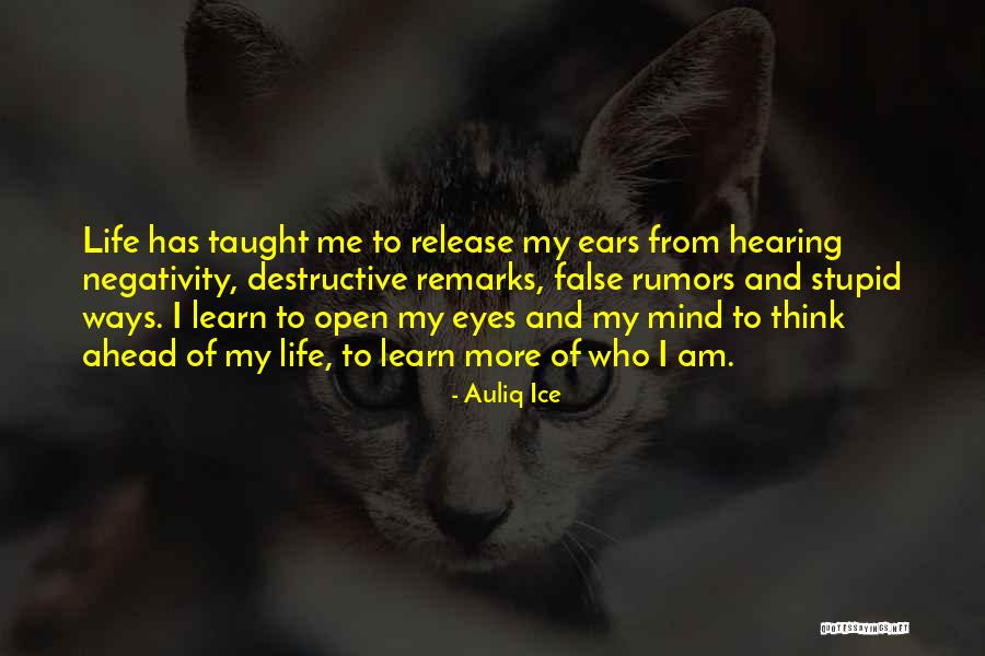 Auliq Ice Quotes 434848 Auliq Ice Quotes 434848