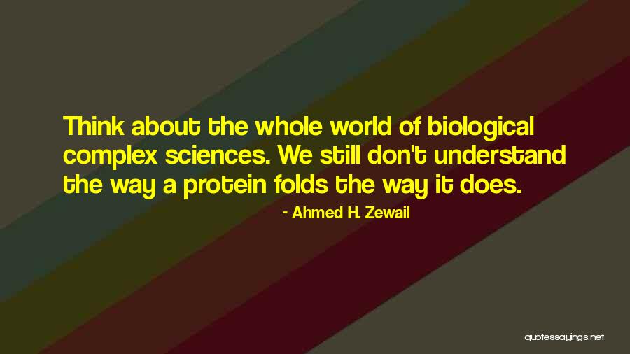 Aulisio Murders Quotes By Ahmed H. Zewail Aulisio Murders Quotes By Ahmed H. Zewail