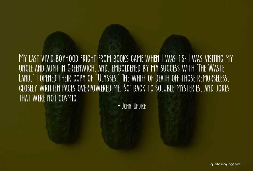 Aunt Death Quotes By John Updike Aunt Death Quotes By John Updike
