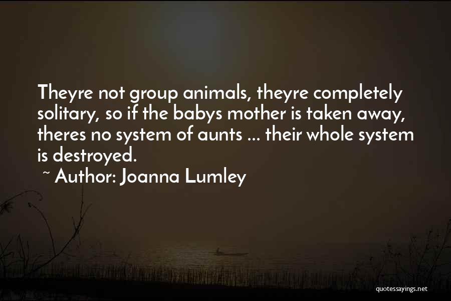 Aunts Quotes By Joanna Lumley