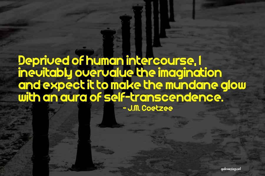 Aura Quotes By J.M. Coetzee