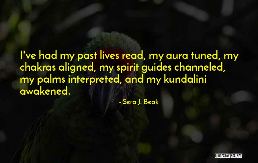 Aura Quotes By Sera J. Beak