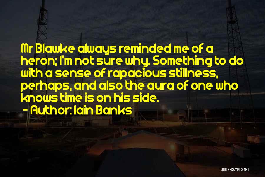 Auras Quotes By Iain Banks