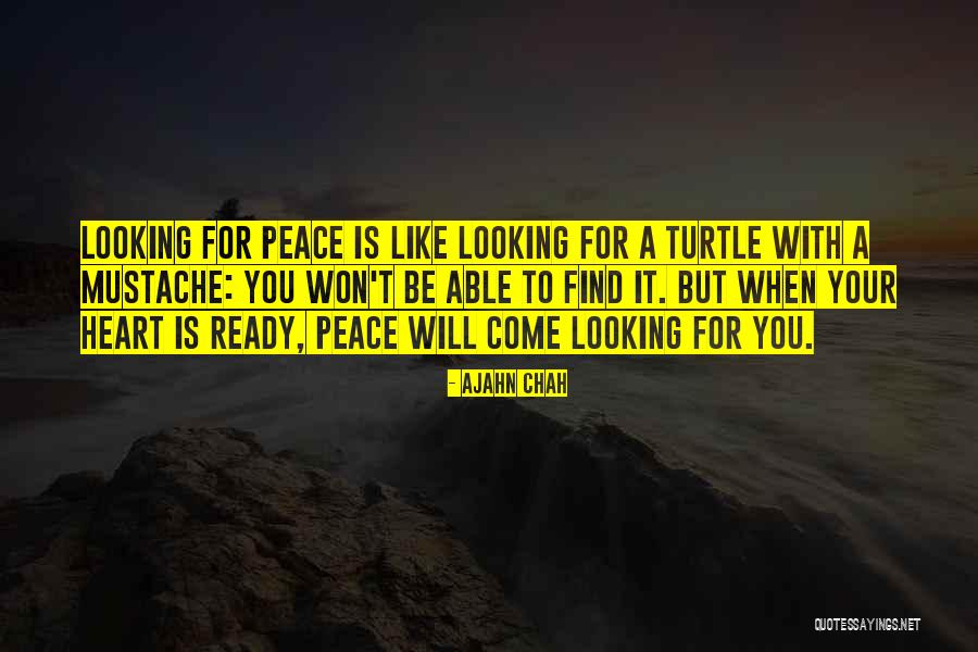 Aurea Quotes By Ajahn Chah Aurea Quotes By Ajahn Chah
