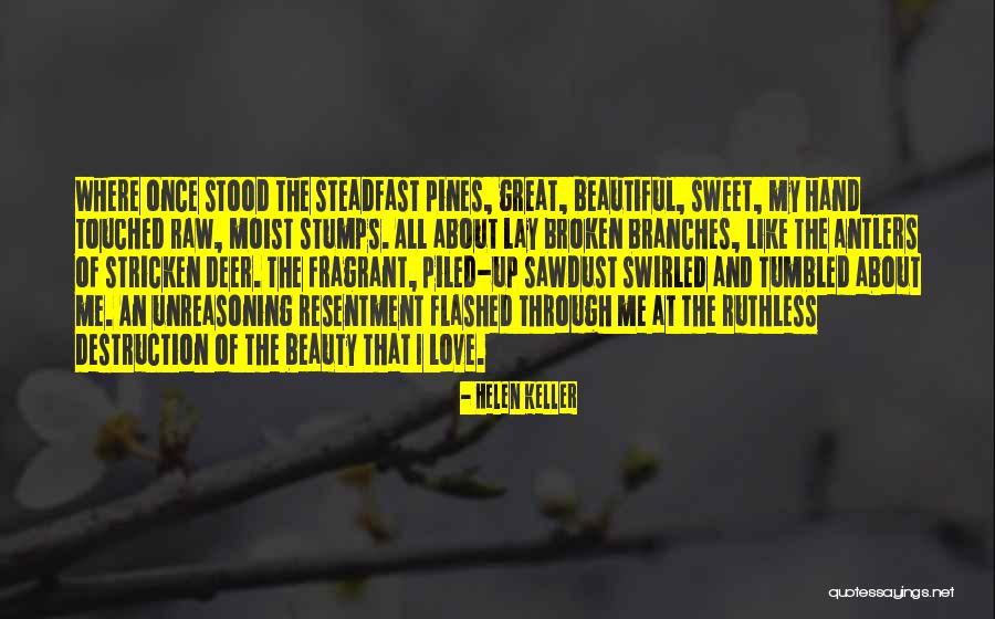Aureliano Salgado Quotes By Helen Keller Aureliano Salgado Quotes By Helen Keller