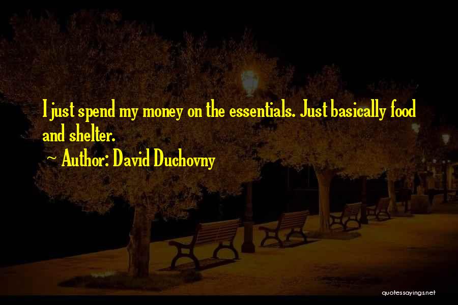 Aurelie Charbonnier Quotes By David Duchovny