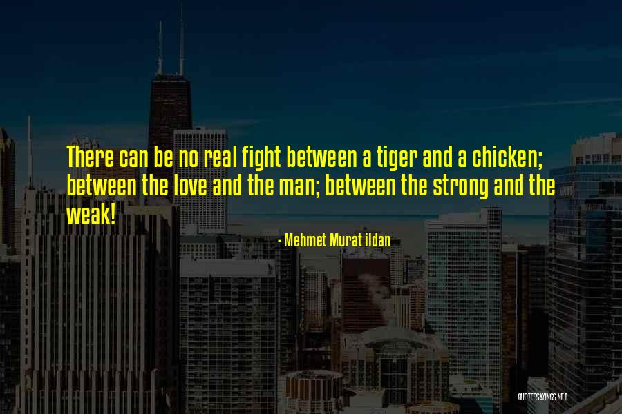 Aurelija Zvirbliene Quotes By Mehmet Murat Ildan Aurelija Zvirbliene Quotes By Mehmet Murat Ildan