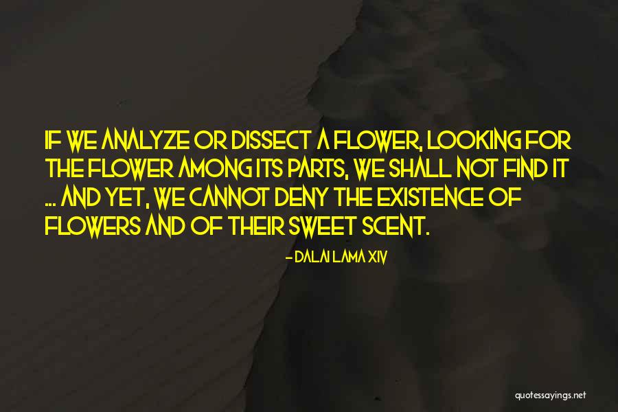 Auritech Quotes By Dalai Lama XIV Auritech Quotes By Dalai Lama XIV
