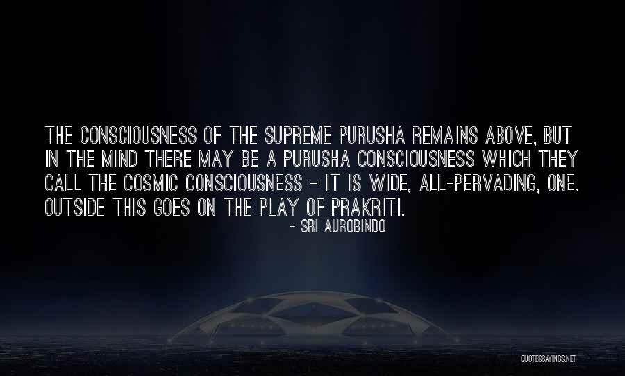 Aurobindo Quotes By Sri Aurobindo Aurobindo Quotes By Sri Aurobindo