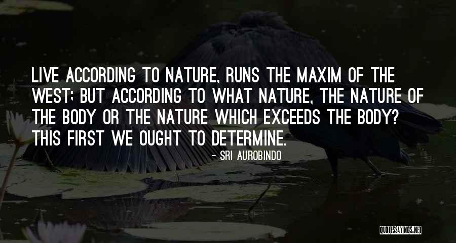 Aurobindo Quotes By Sri Aurobindo Aurobindo Quotes By Sri Aurobindo