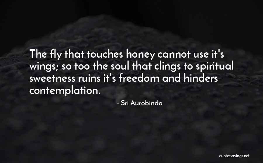 Aurobindo Quotes By Sri Aurobindo Aurobindo Quotes By Sri Aurobindo