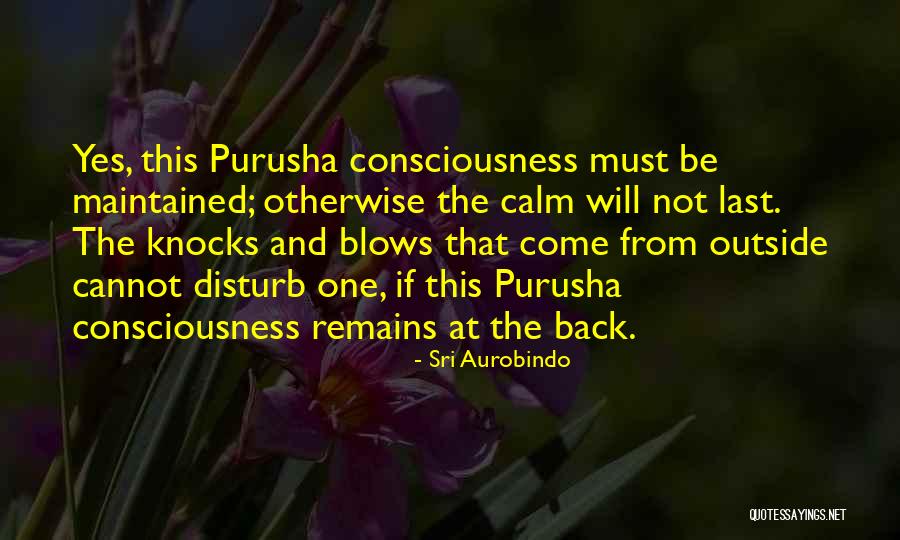 Aurobindo Quotes By Sri Aurobindo Aurobindo Quotes By Sri Aurobindo