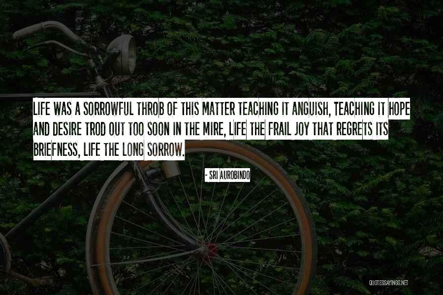 Aurobindo Quotes By Sri Aurobindo Aurobindo Quotes By Sri Aurobindo