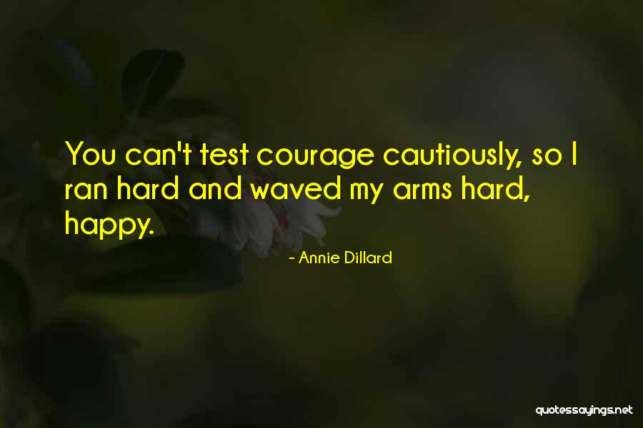 Aurolens Quotes By Annie Dillard Aurolens Quotes By Annie Dillard