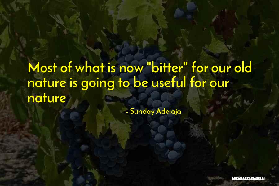 Aurora Borealis Famous Quotes By Sunday Adelaja Aurora Borealis Famous Quotes By Sunday Adelaja