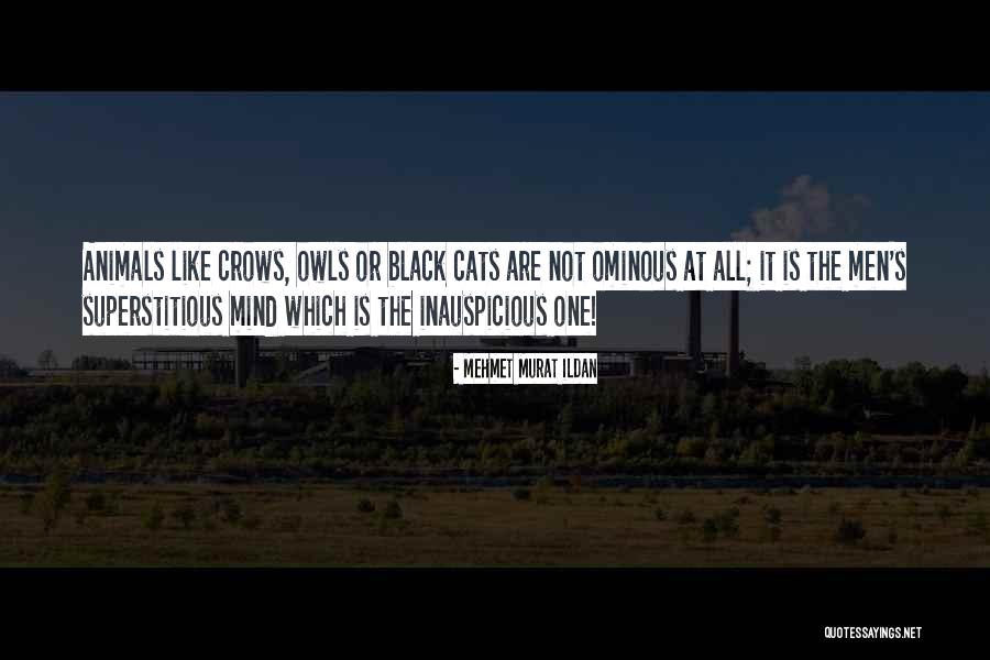 Aurul Alb Quotes By Mehmet Murat Ildan Aurul Alb Quotes By Mehmet Murat Ildan