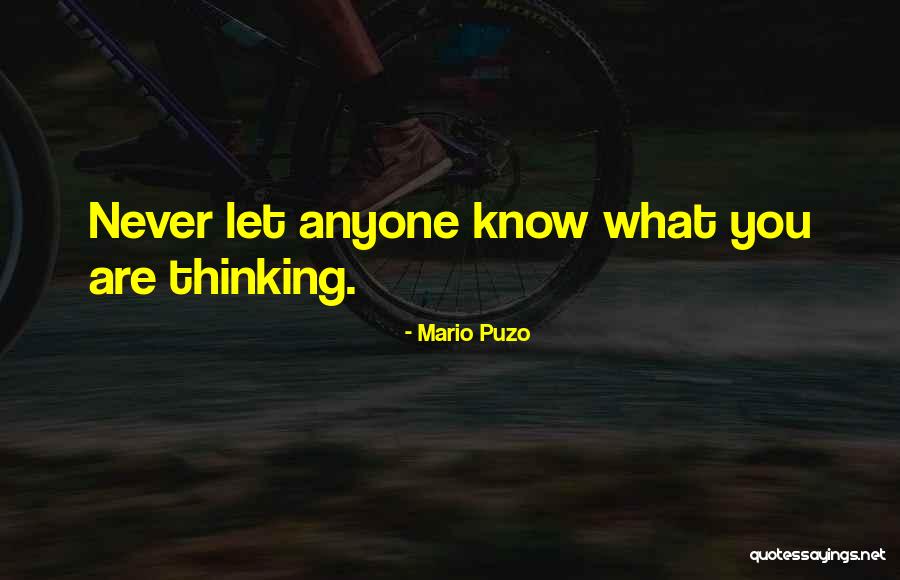 Ausburn Aussies Quotes By Mario Puzo Ausburn Aussies Quotes By Mario Puzo