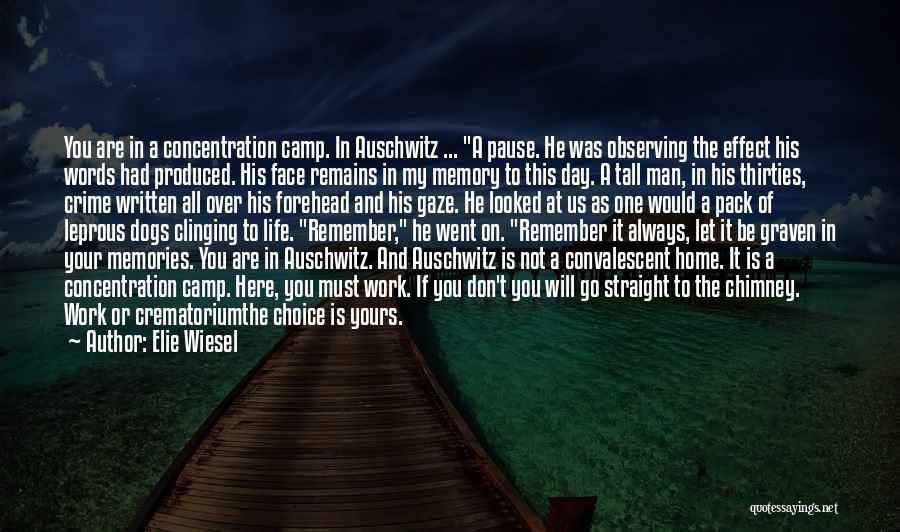 Auschwitz Concentration Camp Quotes By Elie Wiesel