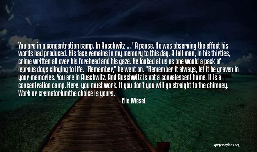 Auschwitz Concentration Camp Quotes By Elie Wiesel