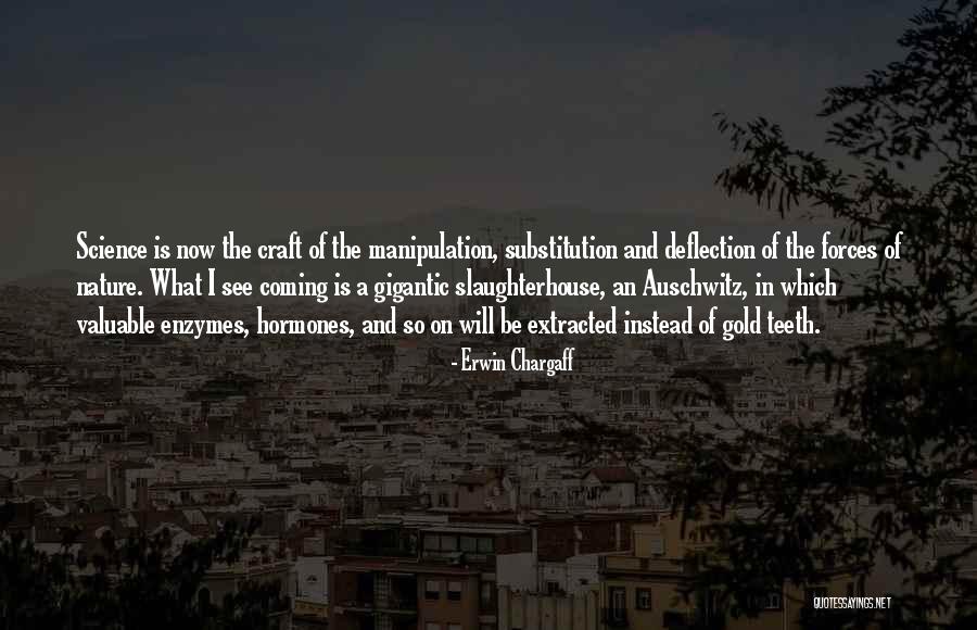 Auschwitz Quotes By Erwin Chargaff Auschwitz Quotes By Erwin Chargaff