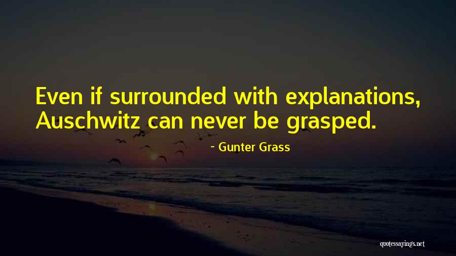 Auschwitz Quotes By Gunter Grass Auschwitz Quotes By Gunter Grass