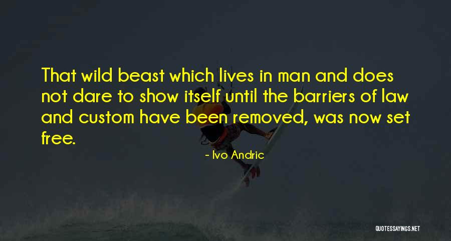 Ausgleichung Quotes By Ivo Andric Ausgleichung Quotes By Ivo Andric