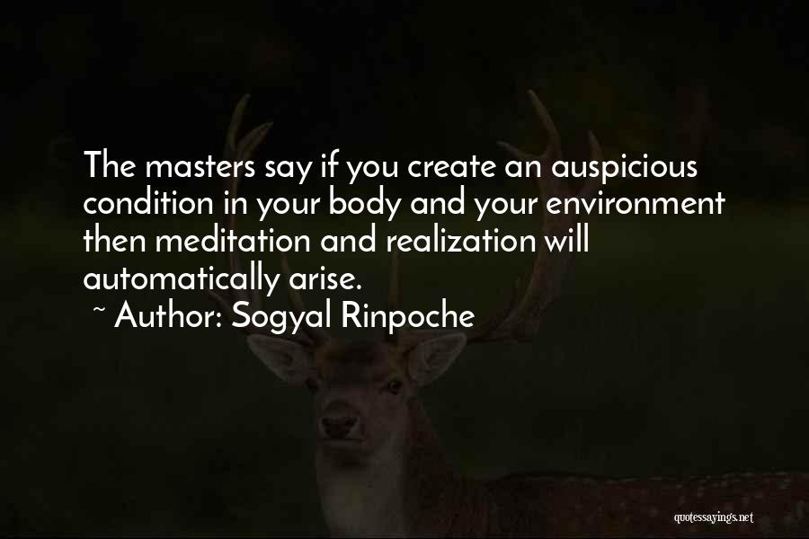 Auspicious Quotes By Sogyal Rinpoche