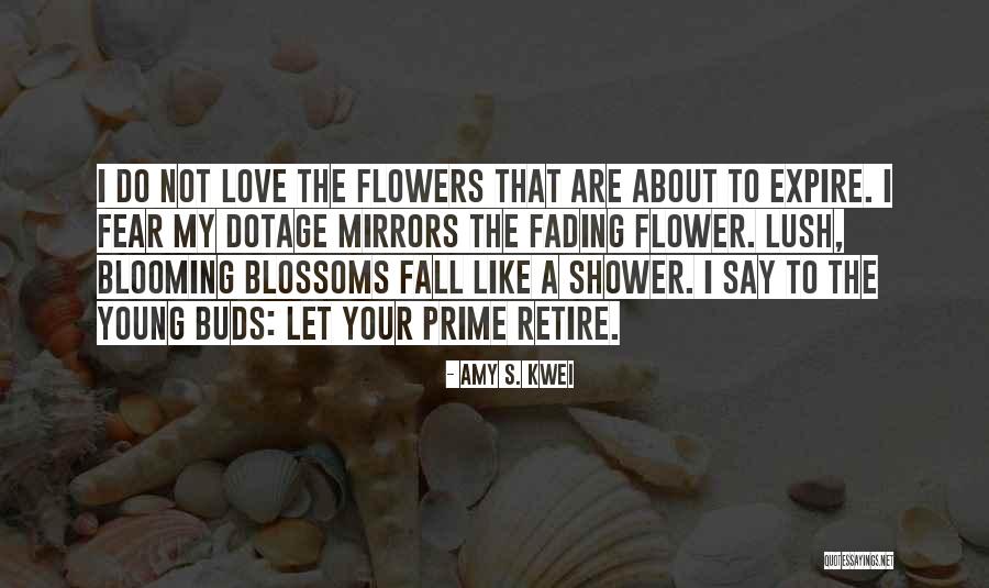 Aussies Kitchen Quotes By Amy S. Kwei Aussies Kitchen Quotes By Amy S. Kwei