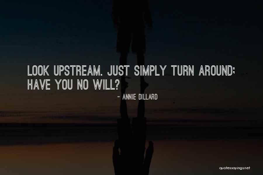 Aussprache Deutsch Quotes By Annie Dillard Aussprache Deutsch Quotes By Annie Dillard