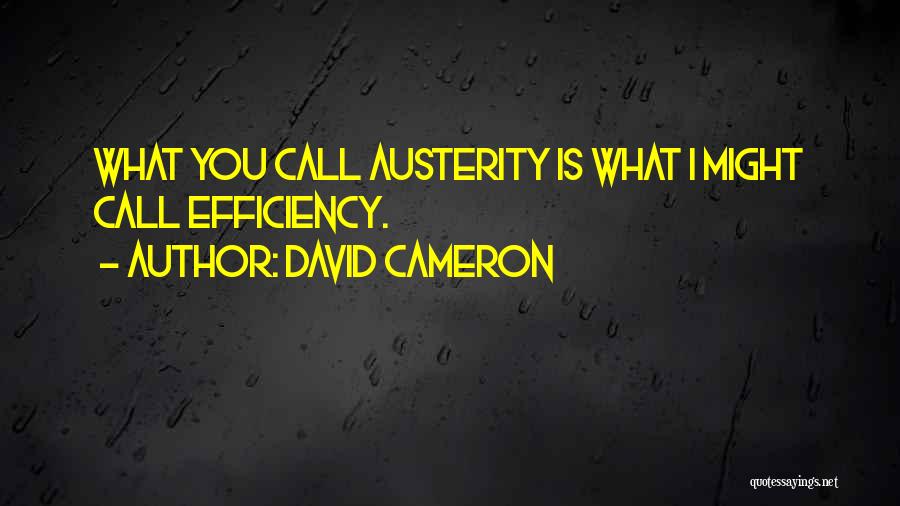 Austerity Quotes By David Cameron