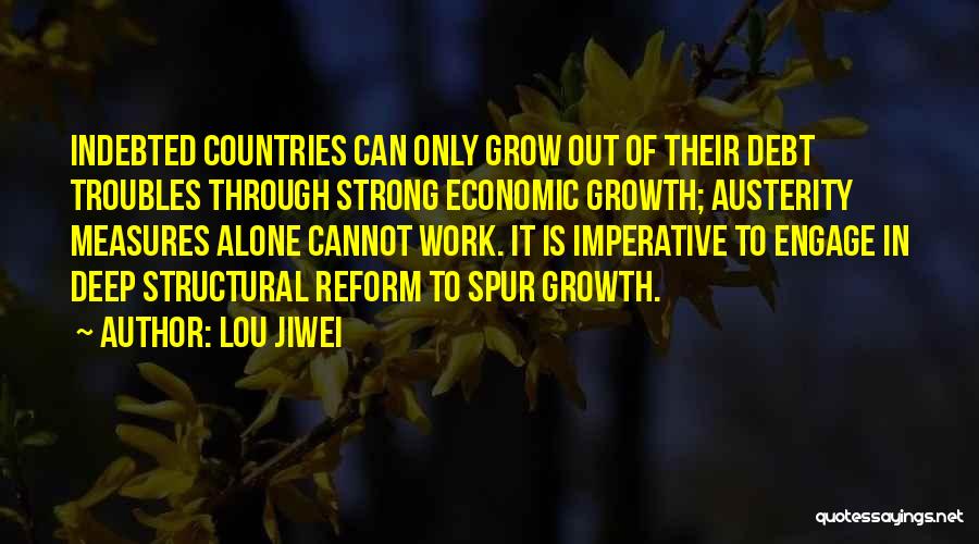 Austerity Quotes By Lou Jiwei