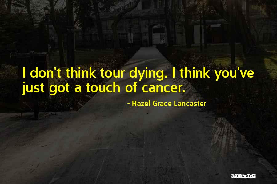 Austern Antiques Quotes By Hazel Grace Lancaster