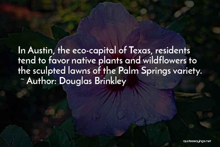 Austin Texas Quotes By Douglas Brinkley