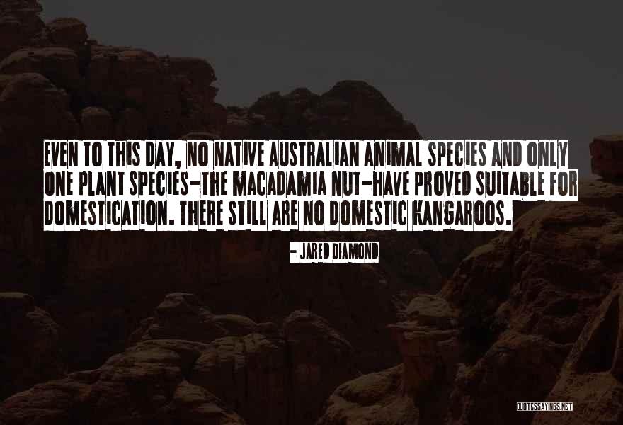 Australian Quotes By Jared Diamond