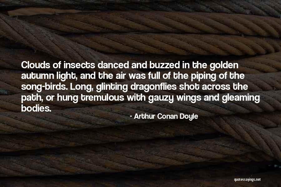 Authement Iron Quotes By Arthur Conan Doyle Authement Iron Quotes By Arthur Conan Doyle