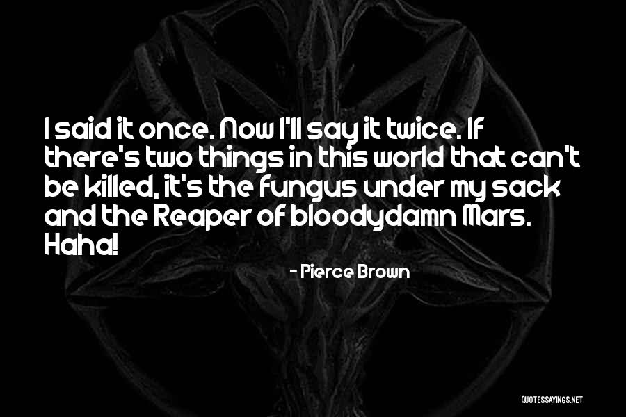 Authentic Knitting Board Quotes By Pierce Brown Authentic Knitting Board Quotes By Pierce Brown