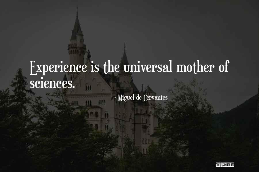 Author Heroine Quotes By Miguel De Cervantes Author Heroine Quotes By Miguel De Cervantes