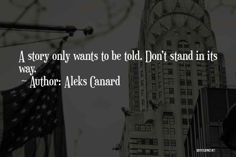 Author Of Your Own Story Quotes By Aleks Canard