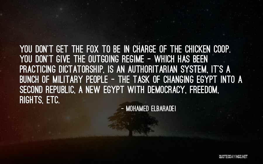 Authoritarian Regime Quotes By Mohamed ElBaradei