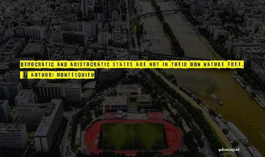 Authority Abuse Quotes By Montesquieu